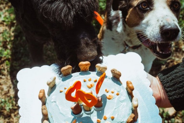 Vanja je upravi proslavio 12. a Dara 7. rođendan!