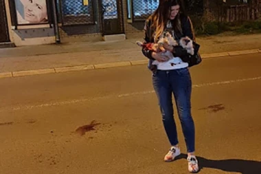 (FOTO) Sandri bahati vozač ubio psa Hanu i pobegao: Nosila sam je krvavu, ujedala me od bolova!