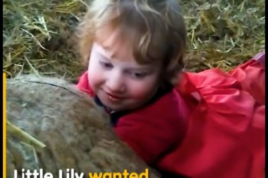 IMA SAMO 3 GODINE: Devojčica porodila ovcu kao od šale! (ŠOK VIDEO)