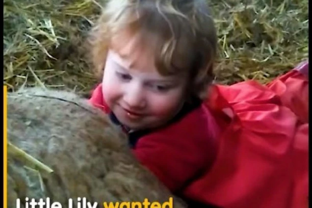 IMA SAMO 3 GODINE: Devojčica porodila ovcu kao od šale! (ŠOK VIDEO)