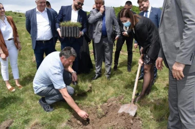 Vujović: U Novom Pazaru 40.000 novih sadnica do kraja godine