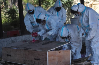 NOVA OBJAVA SZO O KORONI LEDI KRV U ŽILAMA! Posledice su mnogo razornije nego što smo verovali