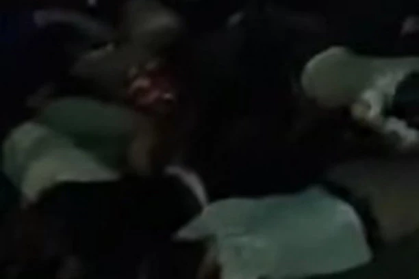 (VIDEO) SNIMAK HAPŠENJA HULIGANA U BETON HALI: Evo zašto je došlo do tuče za vreme proslave Zvezdine titule