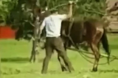 (VIDEO) MONSTRUMI GDE ĆE VAM DUŠA! Šokantan snimak zabeležen u Srbiji kruži internetom: Vezali konja pa ga štapovima išibali gde god su stigli