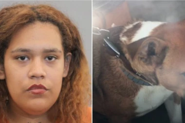 (FOTO, VIDEO) PUCALA NA KOMŠIJSKOG PSA, PA UPUCALA ROĐENO DETE (5)! Stravičan incident u Hjustonu!