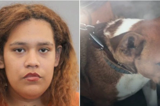 (FOTO, VIDEO) PUCALA NA KOMŠIJSKOG PSA, PA UPUCALA ROĐENO DETE (5)! Stravičan incident u Hjustonu!