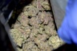 POLICAJCI SE ŠOKIRALI PRIZOROM KOJI SU ZATEKLI U STANU: Pored marihuane pronašli hrpu oružja, dilerima stavljene lisice na ruke