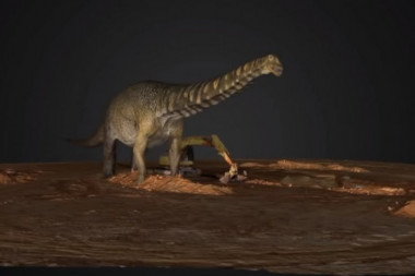 (VIDEO) OTKRIVENA NOVA GIGANTSKA VRSTA DIONOSAURUSA! Ovaj primerak je živeo pre 100 miliona godina i bio je dugačak i do 30 metara!