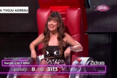 NADICA DOBILA OD KIJE ZELENO SVETLO DA OBELODANI SVE ŠTO ZNA O ŠA: Nenad ni ne sluti šta ga čeka i KAKVE PRLJAVŠTINE ĆE SE IZNETI!