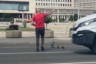 NEMA VEĆEG CARA OD NJEGA! Ovaj čovek je danas zaustavio saobraćaj na Novom Beogradu zbog neverovatne stvari! KAPA DOLE, MAJSTORE!