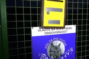 (FOTO/VIDEO) POZADINA MASAKRA PASA U KRAGUJEVCU! Pare od donacija trošio na kuće, stanove i lokale: Životinje trpele užasne bolove