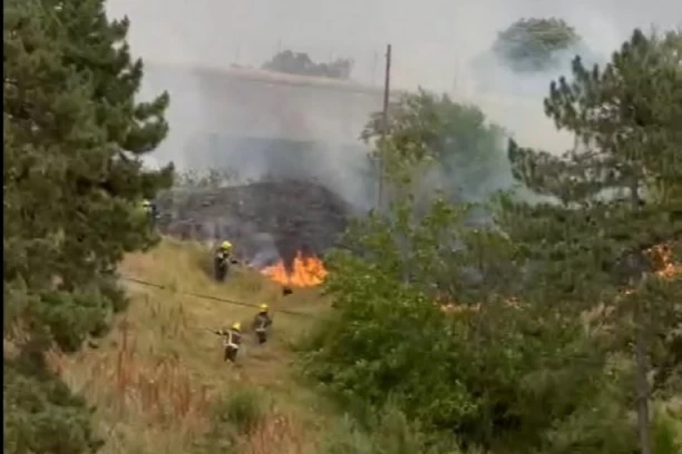 VATRA GUTA ČETINARSKU ŠUMU! Veliki požar kod Nove Varoši