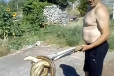 (VIDEO) Žena spremala doručak, pa u sudoperi ugledala DEBELU ZMIJURINU: Njen muž objavio snimak od kojeg će mnogima pozliti!