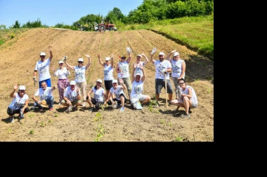 Volonteri kompanije NIS posadili povrće i začinsko bilje u bašti namenjenoj Superherojima iz NURDOR Roditeljskih kuća