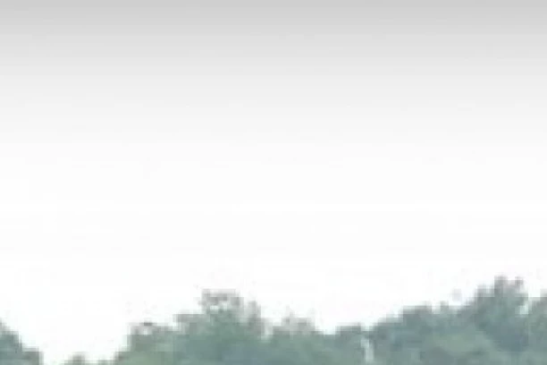 (FOTO/VIDEO) DRAMA U BELGIJI! Borbeni avion F-16 ZAKUCAO SE U ZGRADU: Ima povređenih!