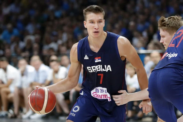 Tuga u Srbiji zbog Bogdana Bogdanovića!