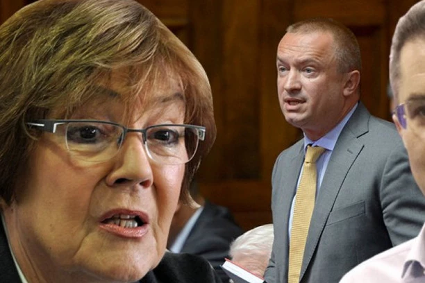 OBRAČUN U SRPSKOJ OPOZICIJI: Pajtić se šlihta Jeremiću, VESNA PEŠIĆ GA ZAKUCALA!