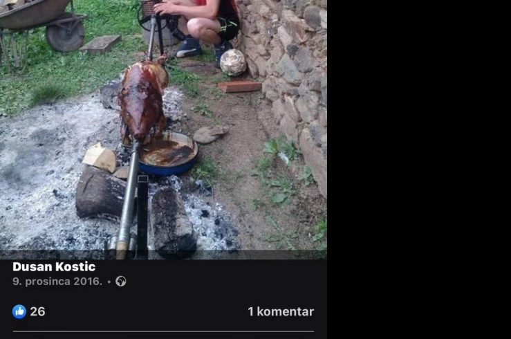 STRAVIČNI DETALJI STRADANJA MLADIĆA NA KOGA JE PALO STABLO: Išao u šumu da zaradi, pa poginuo, ZET SVE GLEDAO!