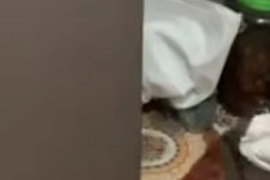 Pronašao ZMIJU među prljavim vešom, a onda je počela BORBA! GOLIM RUKAMA IZVLAČIO AŽDAJU IZ ROĐENE KUĆE (VIDEO)