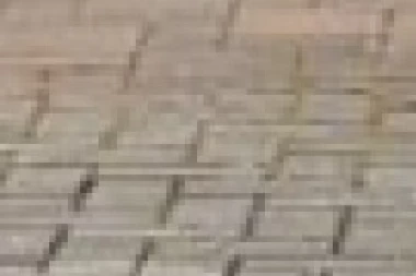 (VIDEO) GORE DRUŠTVENE MREŽE ZBOG OVOG SNIMKA: Pas je dobio neobičan POKLON, a njegova reakcija ŠOKIRALA je CEO SVET!