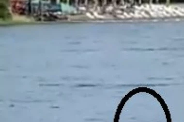 REŠENA MISTERIJA SA ADE: Neman zbog koje su kupači bili u STRAHU ima nadimak glavonja, a evo o ČEMU JE REČ!