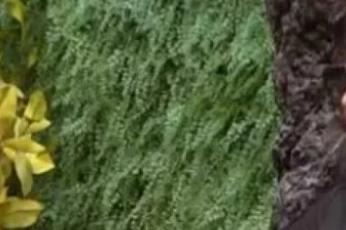 (VIDEO) MAJA RAZOČARANA U JANJUŠA! Oplela po njemu: Ružno je što nije stao u ZAŠTITU kao muškarac koji je PORED MENE!