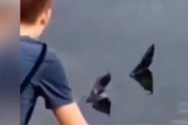 NOVI SNIMAK NEMANI SA ADE! Muškarac joj prišao i otkrio da je u strašnom stanju (VIDEO)