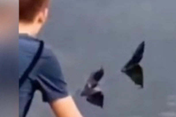 NOVI SNIMAK NEMANI SA ADE! Muškarac joj prišao i otkrio da je u strašnom stanju (VIDEO)