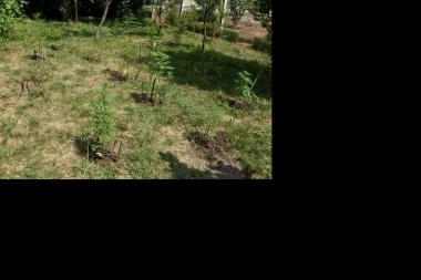 POLICIJA PRETRESLA KUĆU U NOVOM SADU pa u dvorištu otkrili štek pun droge