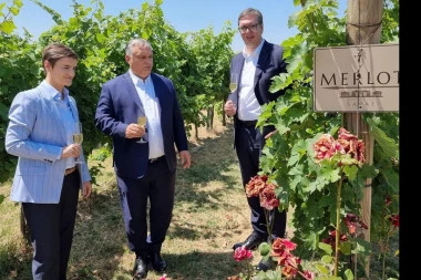POSLE OZBILJNIH RAZGOVORA, VREME JE ZA OPUŠTANJE! Vučić i Orban u šetnji vinogradom uživaju u dobrom vinu!