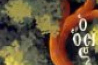 DANAS JE PREPODOBNI DAVID SOLUNSKI! On SLEPIMA vraća VID!