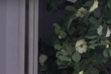 (VIDEO) ČIM IZAĐEM IDEM DA TRAŽIM OPROST OD IVANE!  Ša bez stida i SRAMA želi da mu žena PREĐE PREKO SVEGA!