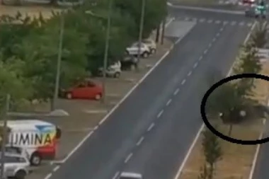 (FOTO, VIDEO) POGLEDAJTE KAKO SE VOZAČ U NOVOM SADU ZAKUCAO U DRVO! Stravično!