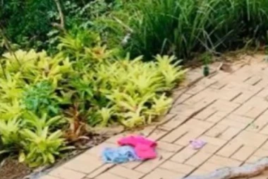 PETOGODIŠNJEG DEČAKA NAPAO PITON DUG 3 METRA! Umalo ga udavio u bazenu! Spasli ga otac i deda!