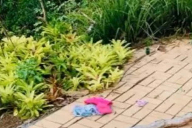 PETOGODIŠNJEG DEČAKA NAPAO PITON DUG 3 METRA! Umalo ga udavio u bazenu! Spasli ga otac i deda!