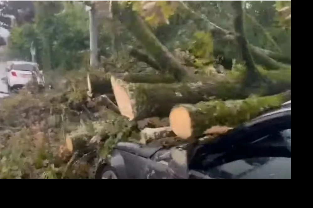 (FOTO, VIDEO) POTOP U CIRIHU! Nevreme opustošilo najveći grad u Švajcarskoj, SVE U KOLAPSU, ali mukama se ne nazire kraj!