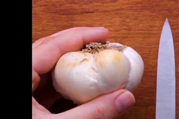 RUSVAJ BEZ GRANICA: Najveći pehovi u kuhinji (FOTO)