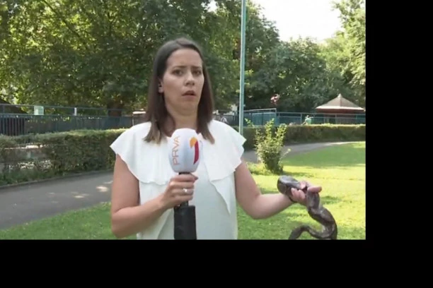 (FOTO) VODITELJKA SE SLEDILA OD STRAHA: U jutarnjem programu nastala opšta pometnja kad su videli ZMIJU!