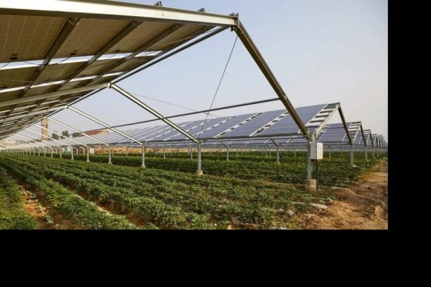 FINTEL ENERGIJA I MK GROUP DONOSE INOVACIJE ZA ODRŽIVU PROIZVODNJU HRANE I ENERGIJE