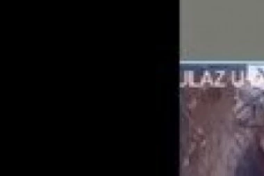 (VIDEO) JEZIVO! DA LI PREPOZNAJETE OVU ŽENU? Bacila otrov u tuđe dvorište na ZVEZDARI i ubila 4 MAČETA