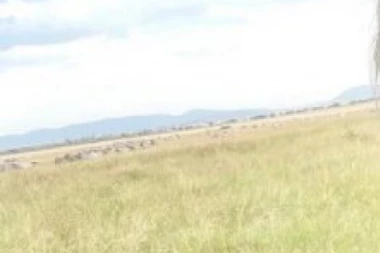 VRATILA SE U STARU FORMU! Vanda se utegla u uske helanke, pokazala čime raspolaže i na tome jako dobro zaradila! (FOTO)