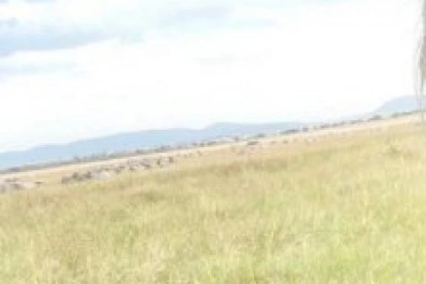 VRATILA SE U STARU FORMU! Vanda se utegla u uske helanke, pokazala čime raspolaže i na tome jako dobro zaradila! (FOTO)