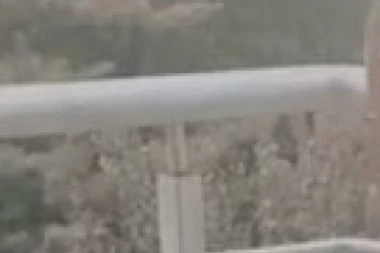 MAJKA NEĆE NI DA MU SE JAVI: Nakon što je otišao sa Tarom u Skopje, Ša dobio PROBLEME, zabrinut za porodicu šta im se desilo!