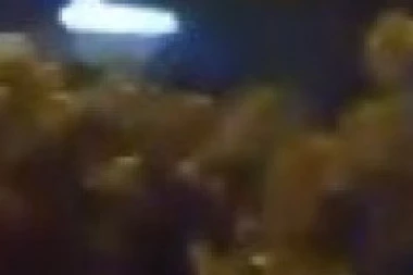 MAJKA I SIN SMRSKANI U VOZILU, OBJAVLJENA JEZIVA FOTOGRAFIJA S MESTA UDESA! Potresne scene kod Velikog Gradišta, teško povređen mladić! (FOTO)