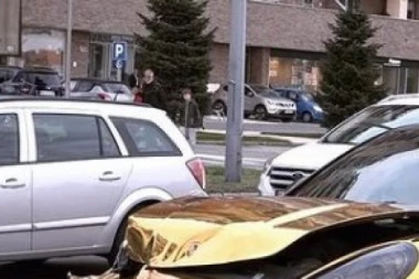 (FOTO) ZLATO PA SVAROVSKI: Nerad Tips pokazao NOVOG MEZIMCA, a onda usledio OBRT!