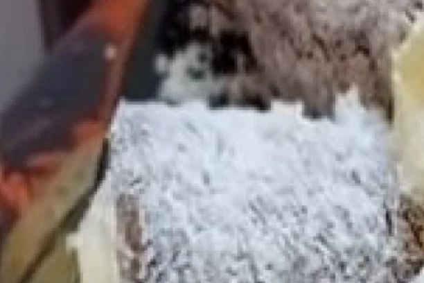 BAKINI RECEPTI SU NAJBOLJI! Vanila rolnice koje se tope se u ustima! (VIDEO)