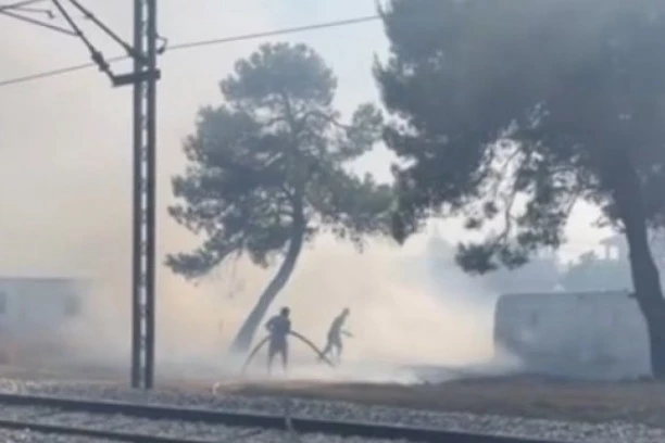 (FOTO, VIDEO) NOVI POŽAR U CRNOJ GORI: Vatra zahvatila  širok pojas u park šumi Zlatica!