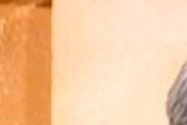 (FOTO) MOG SUPRUGA HOĆE DA UBIJU: Sramotno izlaganje supruge Mike Aleksića ŠOKIRALO javnost!