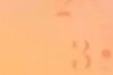 (VIDEO) KRSTIĆ RAZBUCAO DOJČINOVIĆA I NJEGOV KRIK: To nije novinarstvo, oni su kao dostavljači hrane!