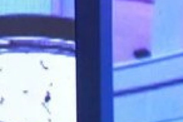 ALEKSIĆ SE POMIRIO SA BIVŠOM! Isplivali dokazi o pomirenju, svi čekaju  da se  TARA OGLASI! (FOTO)